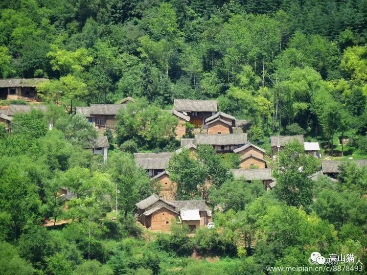 王双最新动态，拥抱自然，踏上寻找内心宁静之旅