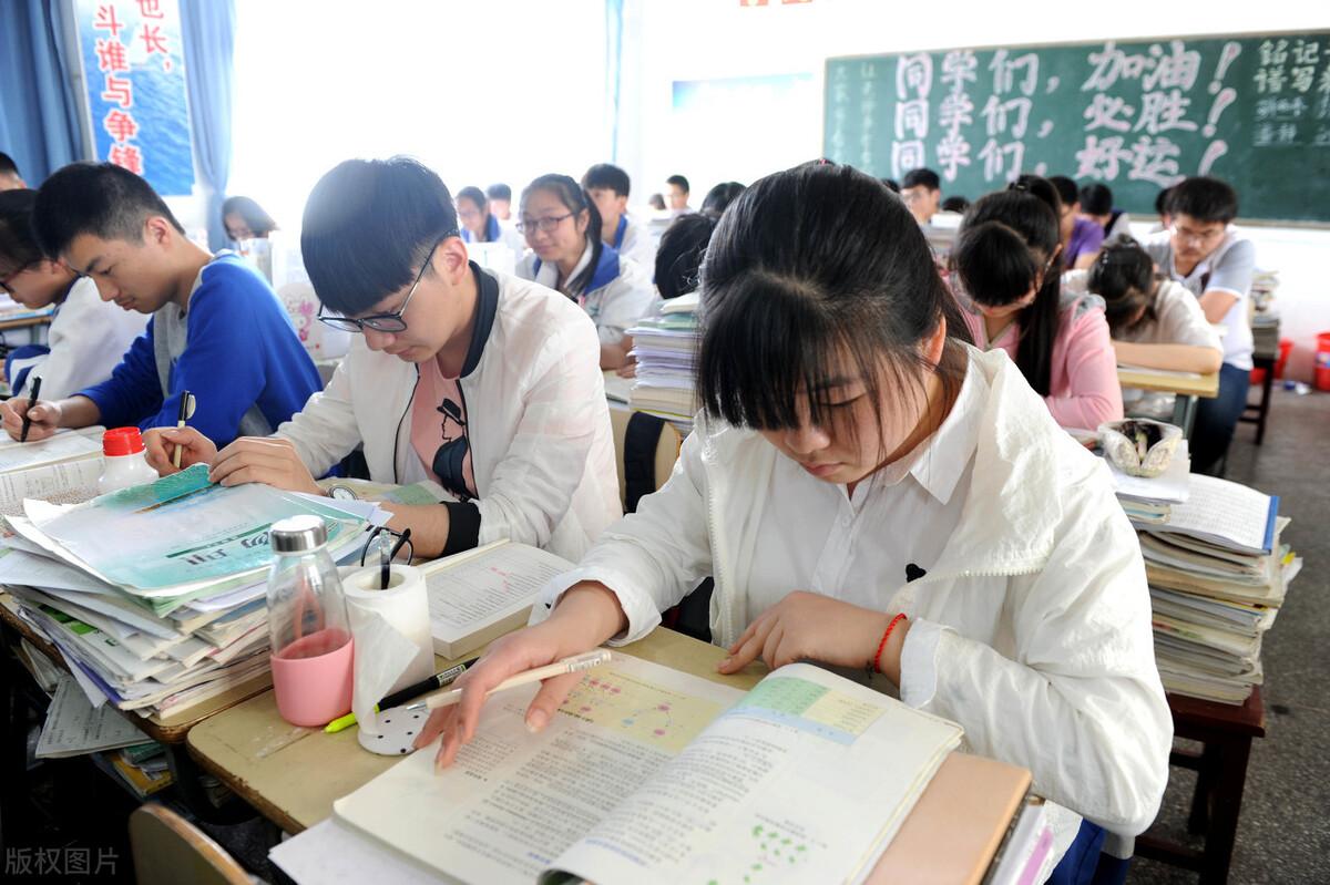 高州最新房价探索，自然美景背后的居住价值之旅