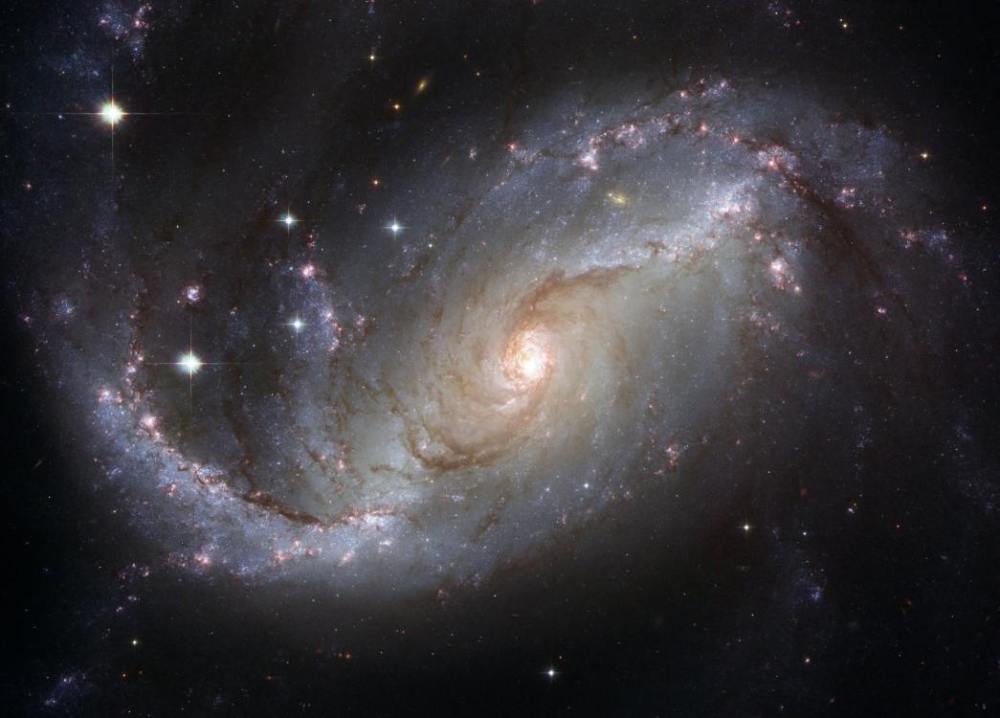 星野遥最新,星野遥最新，璀璨星空的领航者
