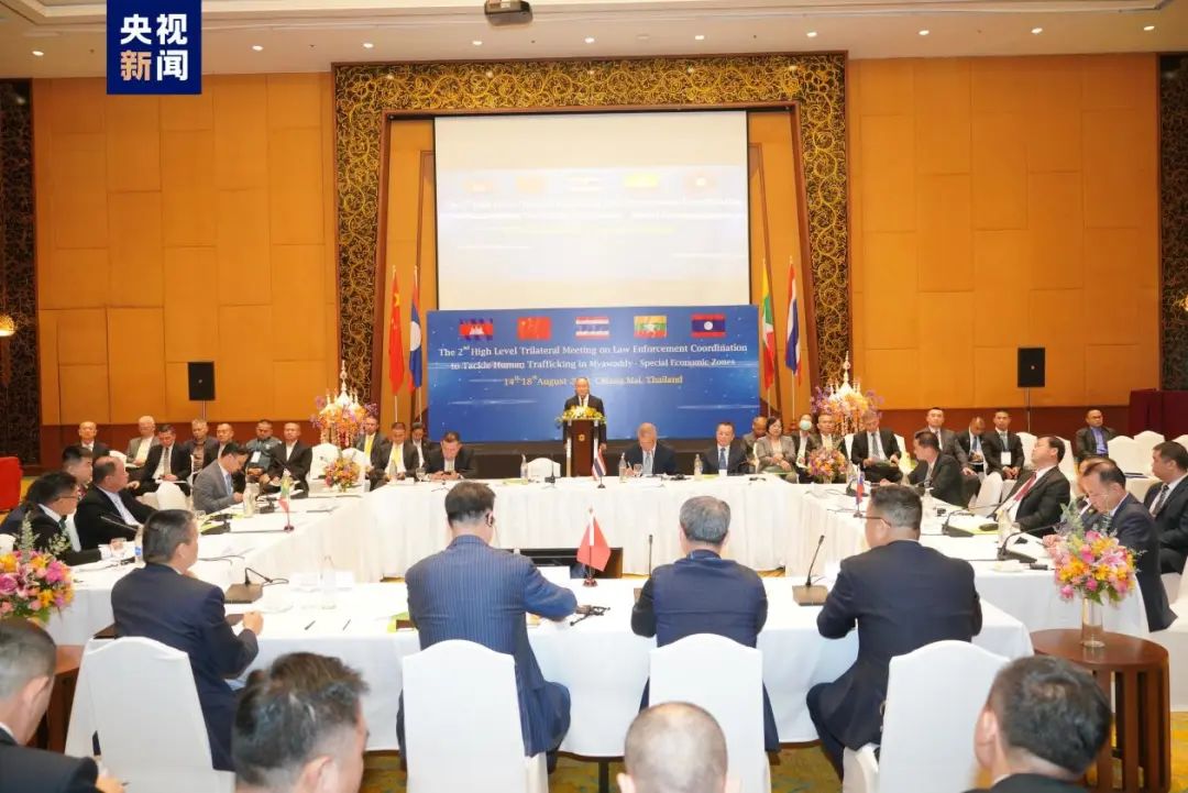 甘谷新闻最新动态，观点阐述与综合分析
