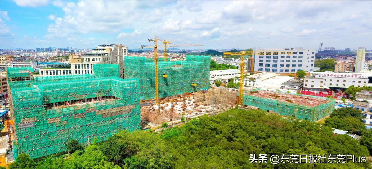 商务信息咨询 第454页