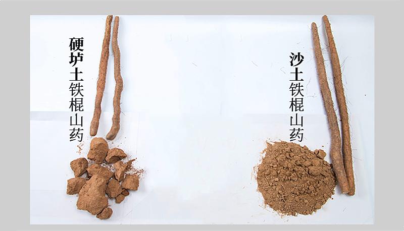 菏泽铁棍山药，价格背后的温情与陪伴，探寻最新故事与价格