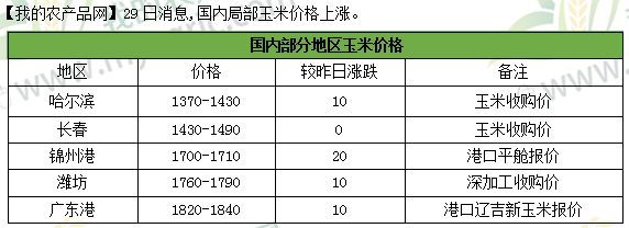 今日王米最新价格详解，步骤指南与价格概览