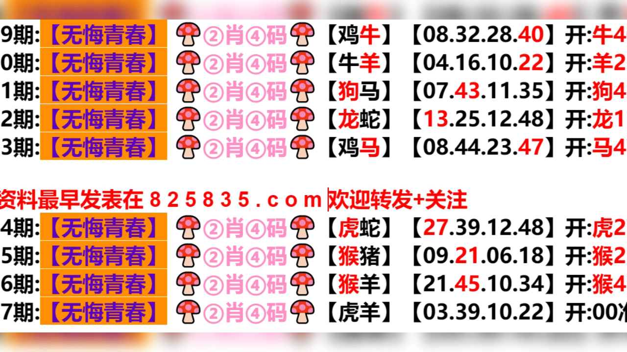新奥门天天开奖结果查询,快速实施解答研究_HXM9.456品味版