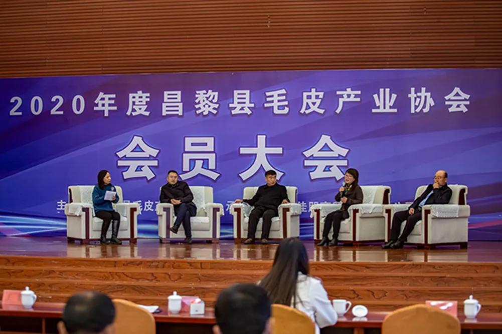 今日昌黎皮毛价格动态，变化的力量与学习的魅力