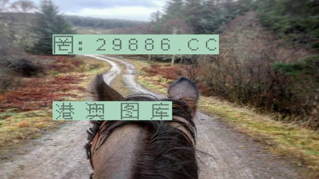 7777788888精准香港正版跑狗,时尚法则实现_为你版16.593