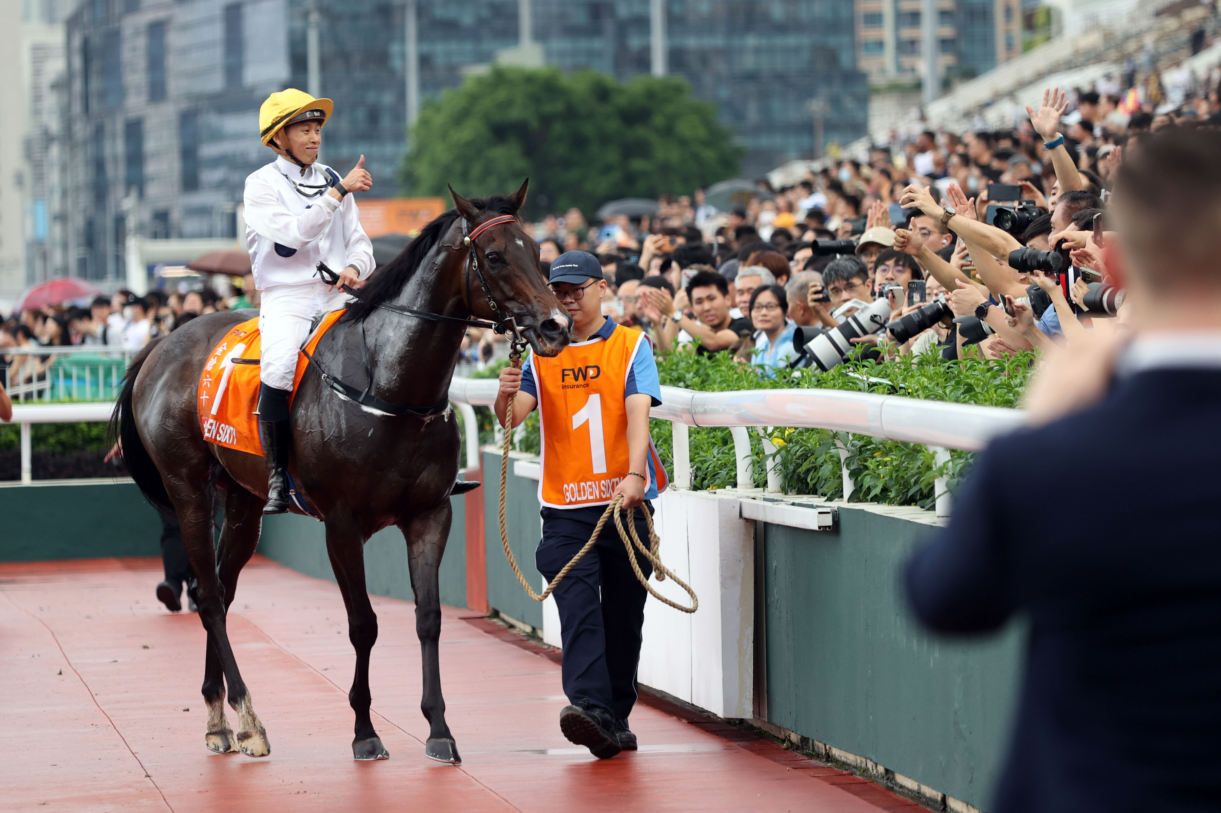 2024香港赛马全年免费资料,数据解析引导_快速版97.342