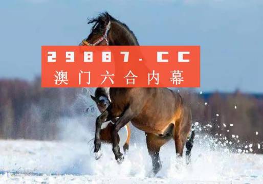澳门今晚一肖必中特,灵活性执行方案_专用版93.911