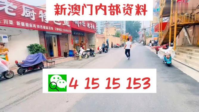2024澳门天天开好彩大全正版,实际调研解析_后台版32.600