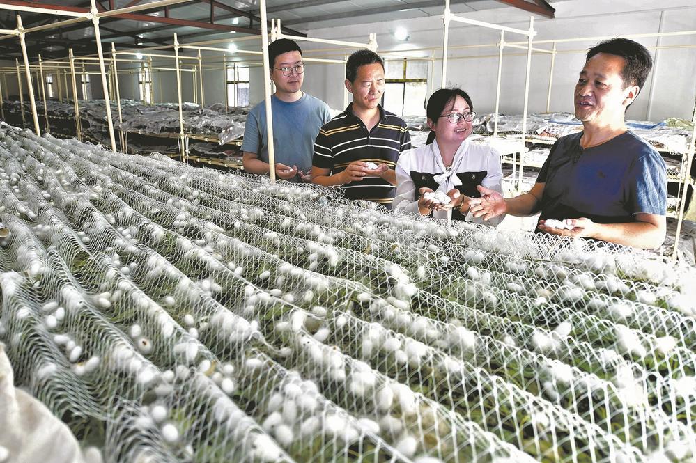 澳门最精准正最精准龙门蚕,深入研究执行计划_发布版49.680