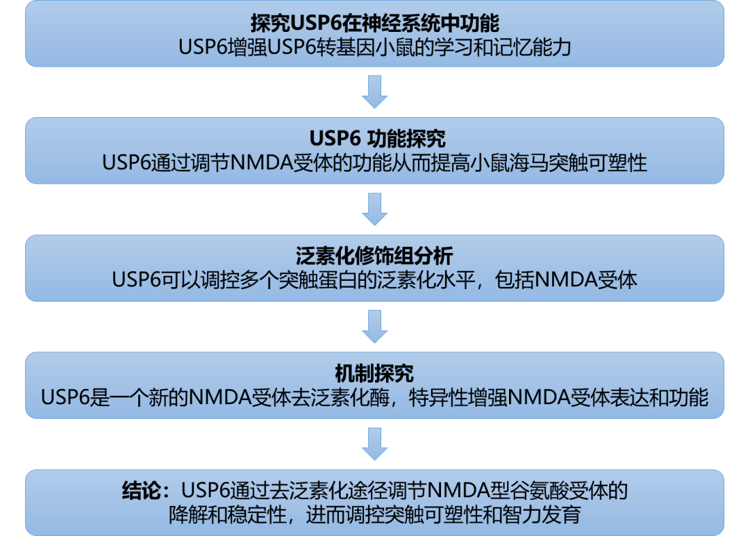 香港免费大全资料大全,精细化方案决策_原型版59.401