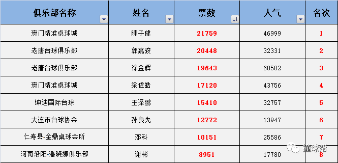 新澳门内部一码精准公开,全方位操作计划_稀有版26.348