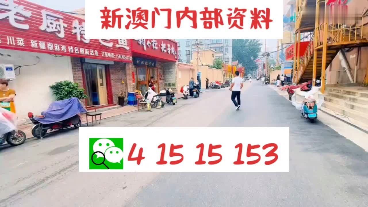 新奥天天正版资料大全,最新研究解读_携带版68.491
