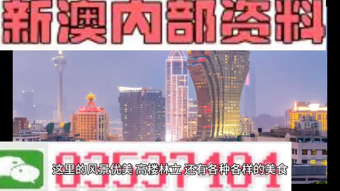 新澳新澳门正版资料,释意性描述解_私人版9.207