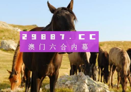 管家婆一肖一码100澳门,实用性解读策略_图形版48.723