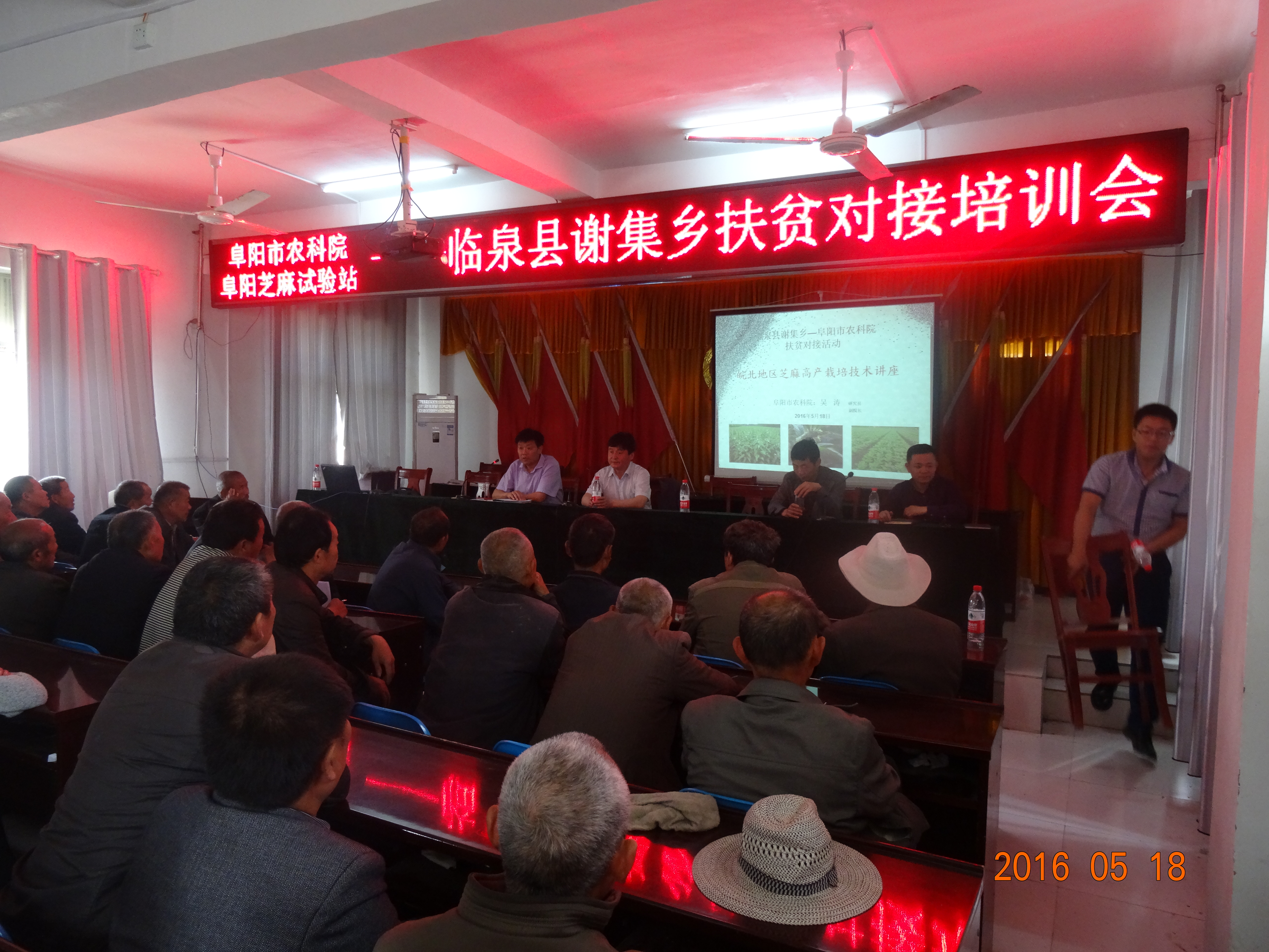 临泉县谢集乡最新动态速递，最新消息一览📣