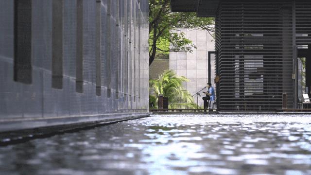光遇最新土元素探索，游戏新魅力揭秘