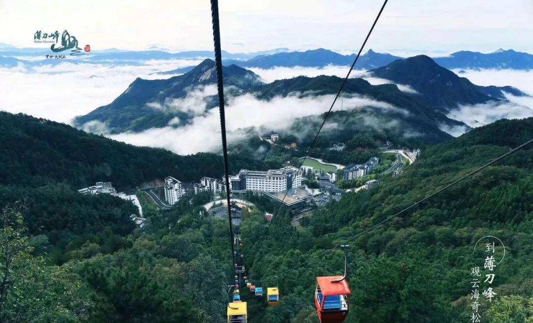 广西鸡鸭价最新动态，自然之旅探寻内心平静