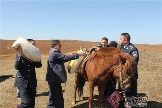 临沧最新事件，自然美景探索之旅，寻求内心平和与喜悦的旅程