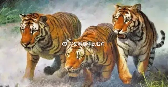 时代浪潮中的瞩目焦点，四虎最新跳转更新
