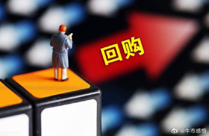 公司回购股票，全面解析与你的权益息息相关！📈