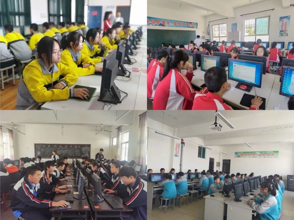 欢欢新版发布指南，任务完成与技能学习步骤详解